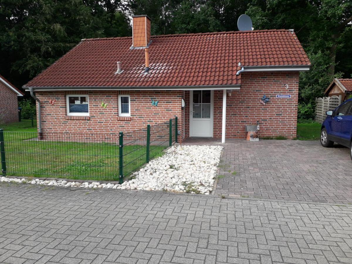 Ferienhaus Pusteblume Papenburg Ngoại thất bức ảnh